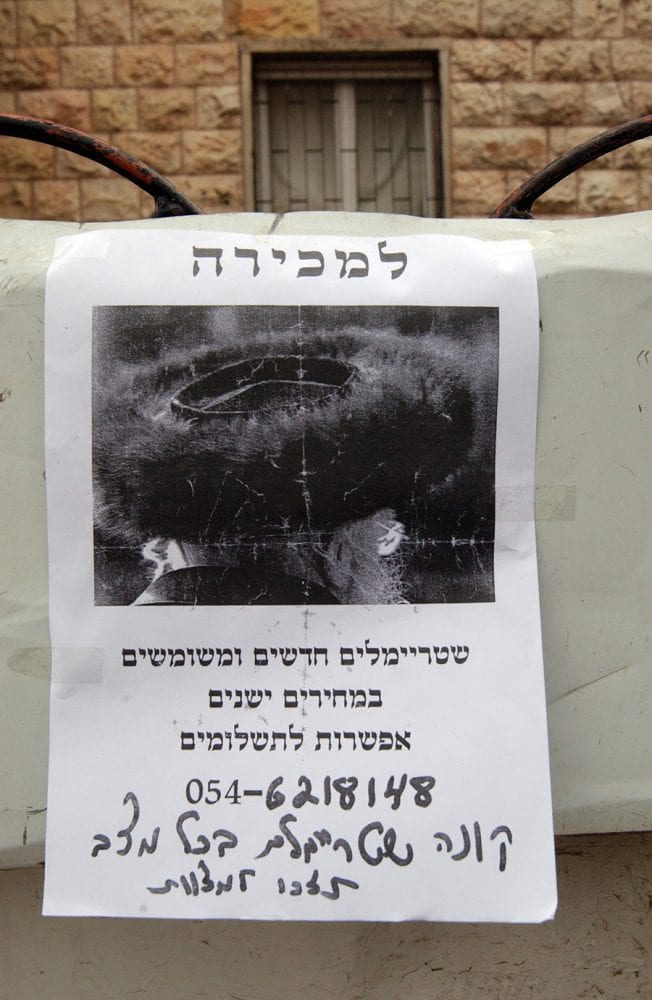 צילום: ברוך גיאן